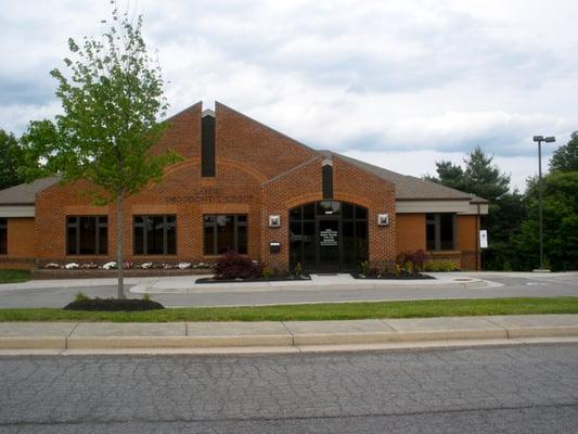 Lanier Endodontic Group