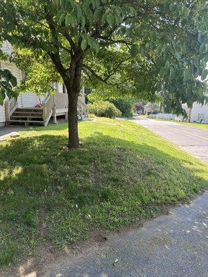 Two Brothers Tree Service & Landscaping