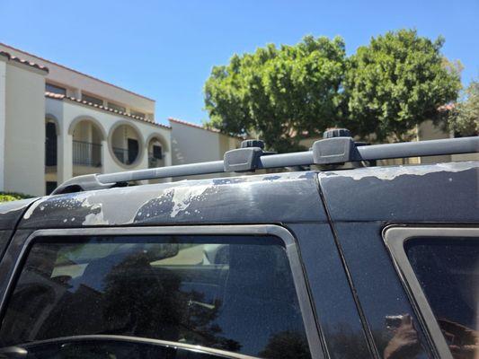 Gongora's Body & Paint