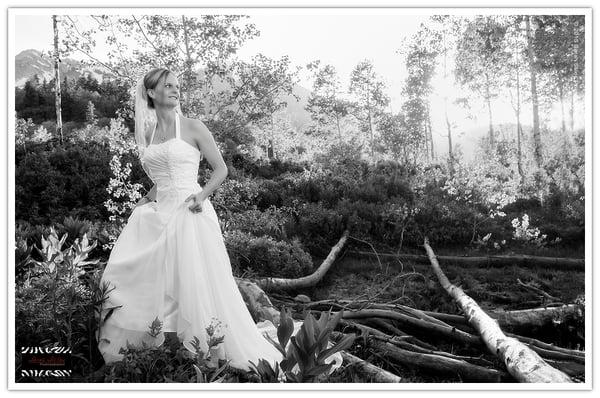 Sarah Stiles Photography