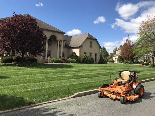 Ruggiero Landscaping