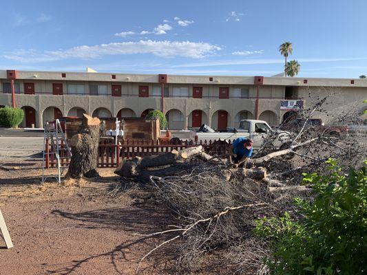 Affordable Yard Service