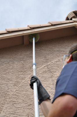 We remove spider webs and treat the area so they don't come back!