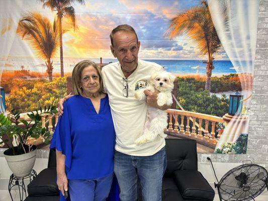 Gorgeous Puppies and Kittens