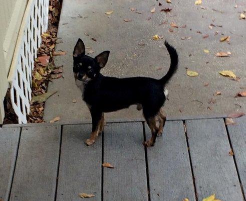 For Fours Acres Lodge