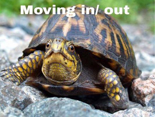 Eco Rainbow Cleaning