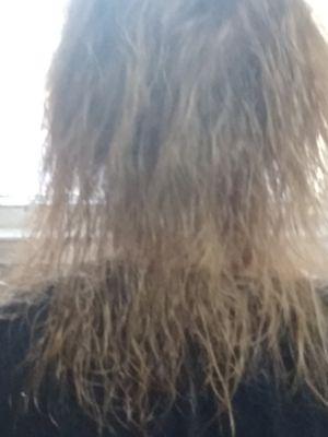 My hair after Ali killed it. I never asked to go blonde. She burned my scalp and destroyedmy hair.