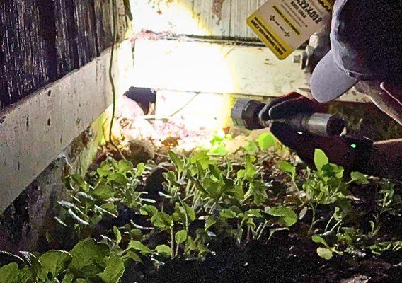 Grifflock Wildlife Control