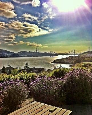 Spyglass At Glen Cove