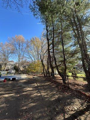 D&W Tree Service and Landscaping