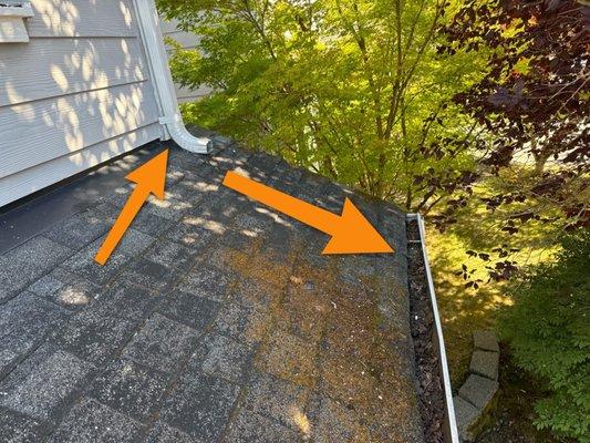 Premier Inspection Services