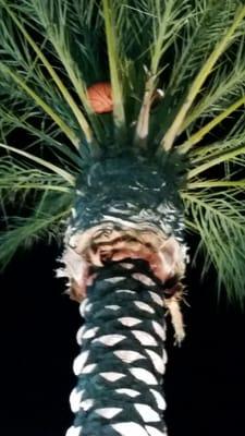 Sports Park and Recreation Center