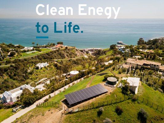 Treepublic is Bringing Clean Energy to Life!