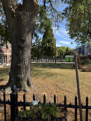 Eckhart Park - Chicago Park District