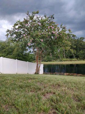 Jamie's Tree Service