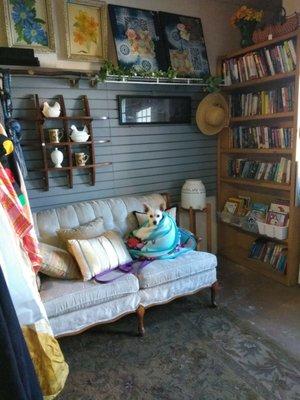 I like shopping here. It's big and they have quality stuff. They're nice to my dog, as well.