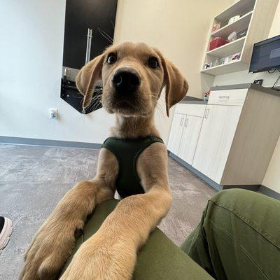 Kindred Heart Animal Hospital