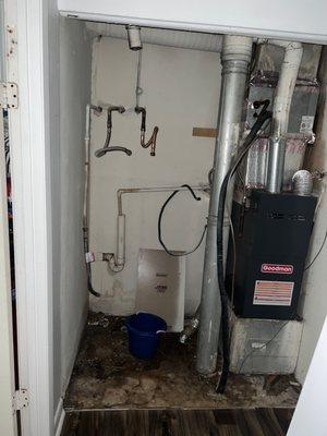 Regal Vista Apartments