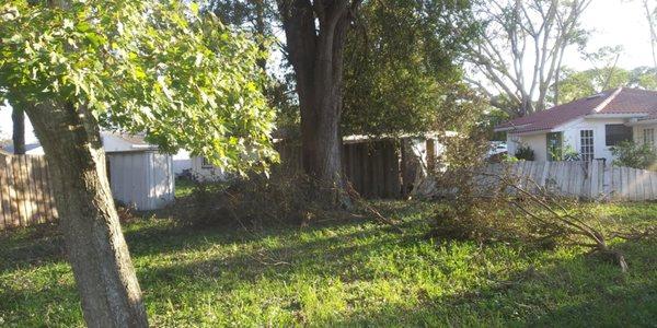 D&D TREE SERVICE &HAULING