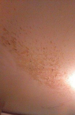 Same room and ceiling. Room 166