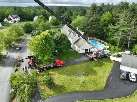 St Germain Tree Service