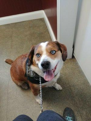 Charlestown Veterinary Clinic