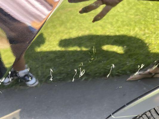 Sas Automotive Service Center