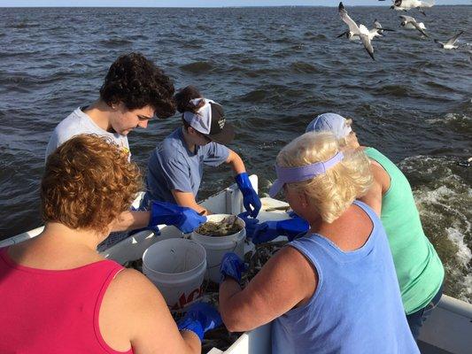 NC Crabbing and Shrimping