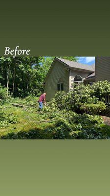 Rios Tree and Lawn Care