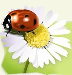 A Ablaze Pest Control Co