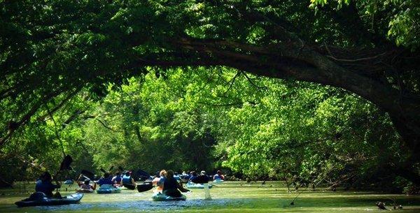 Big Wills Outfitters