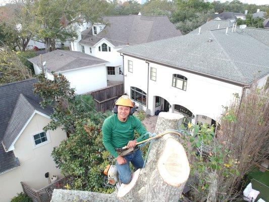 Champions Tree Preservation