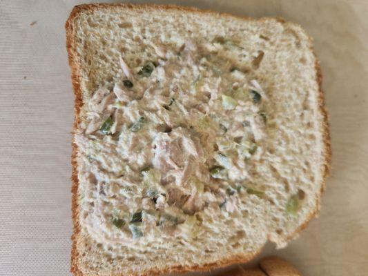 Carolina Rehab Center of Burke