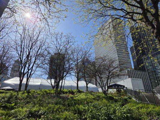 Illinois Craft Brewers Guild