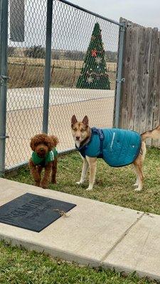 Three Bark Pet Hotel and DayCare