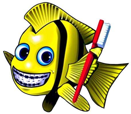 Happy Fish Stickers for Dr. Michael Guess Orthodontist Business.