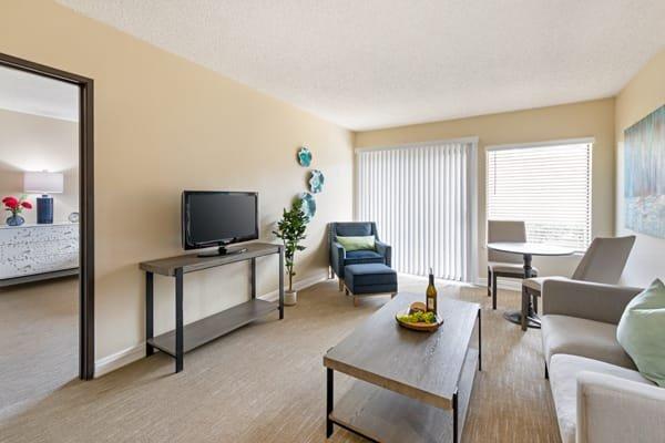 One Bedroom, Living Room