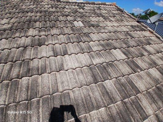 Geebz Pressure Cleaning