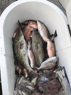 Falling Tide Charters