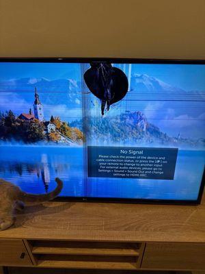 Barahona's Professional Moving and Storage