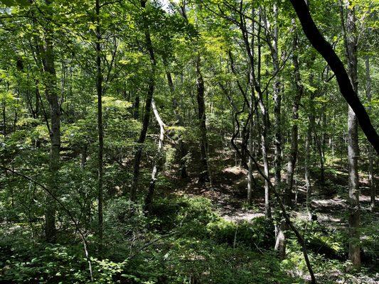 Fall Creek Falls Riding Stables