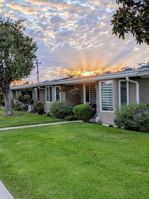 I'm a shareholder in M10 my name is David Millhouse just took this photo of our sunset tonight thought you guys could use it.