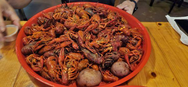 Young's Sports Grill