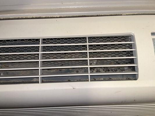Bugs in heating/cooling system.