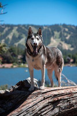 Big Bear Lake (Multi)