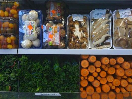 Wonder Food Distributors