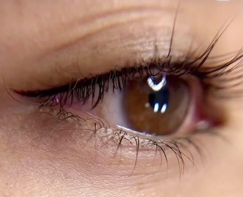 Elysium Aesthetics Lounge & Luxury Spa