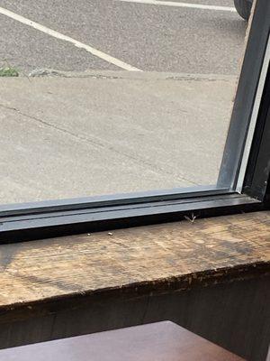 Duke's Main Street Pizza