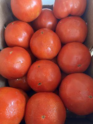 Tomatoes