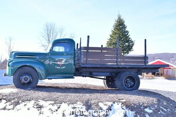 Kelly Duncan Photography